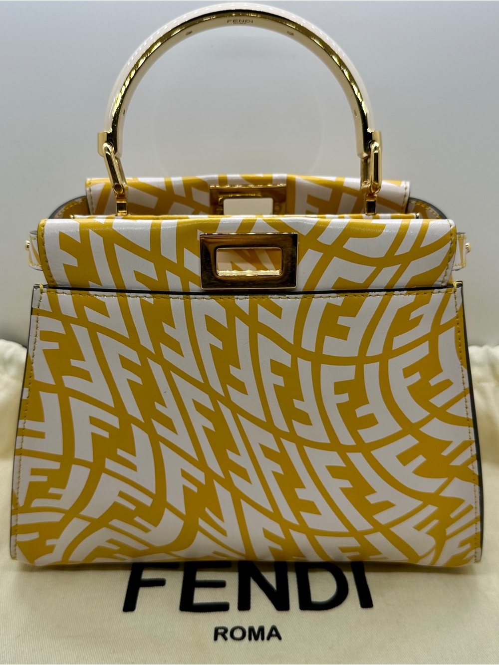 FENDI X SARAH COLEMAN Vertigo Peekaboo With Strap and Rain Cover - Picture 15 of 16